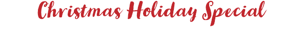 Christmas Holiday Special